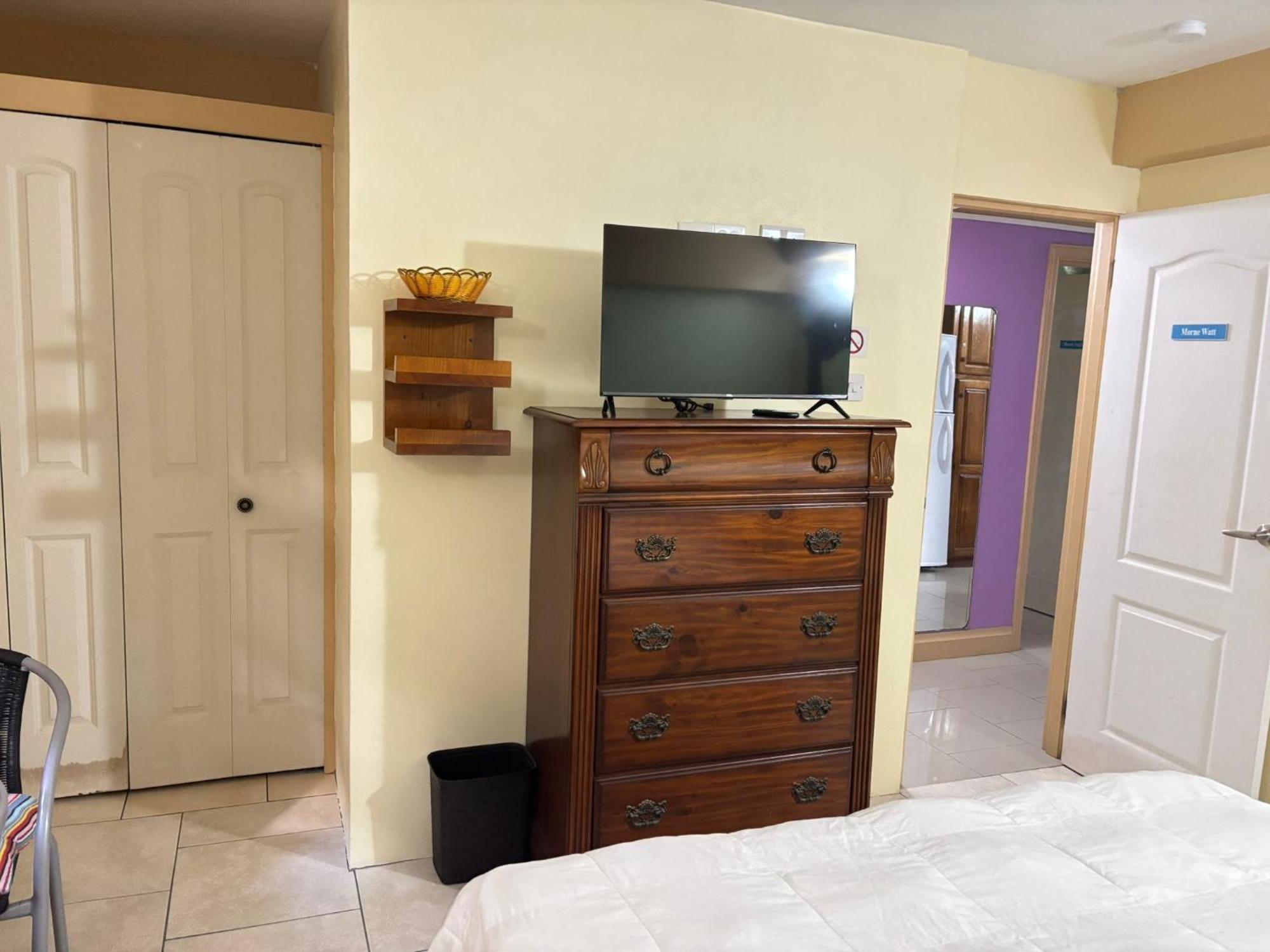 Matthew'S Miracle View Bed & Breakfast Roseau Exterior photo