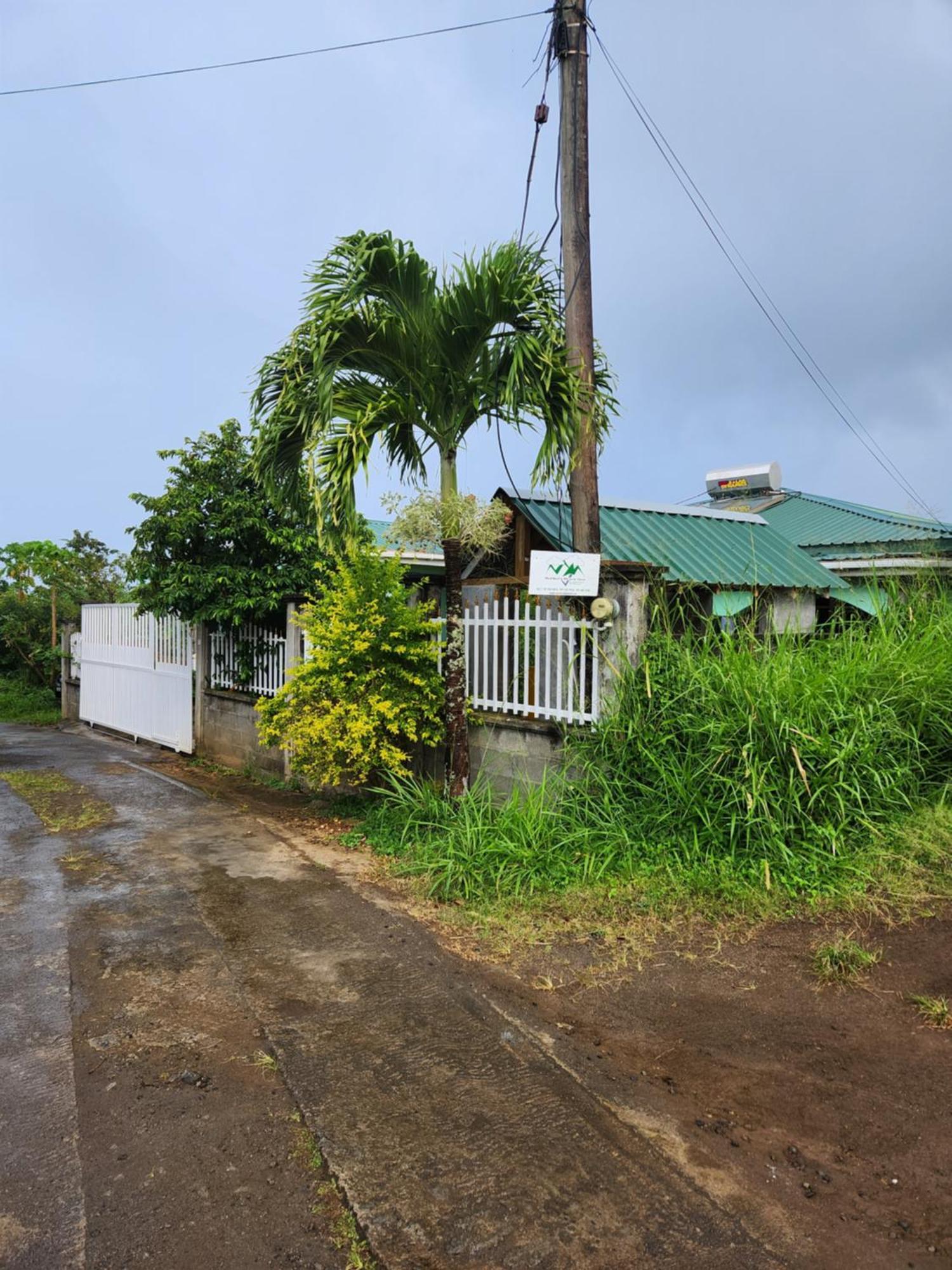 Matthew'S Miracle View Bed & Breakfast Roseau Exterior photo